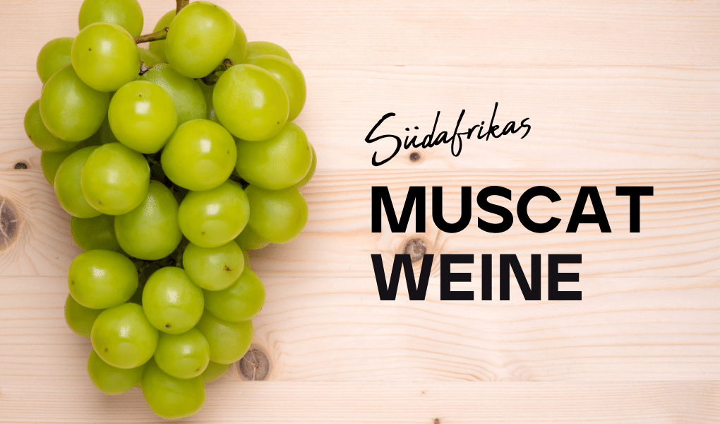 Tag der Muscat Weine