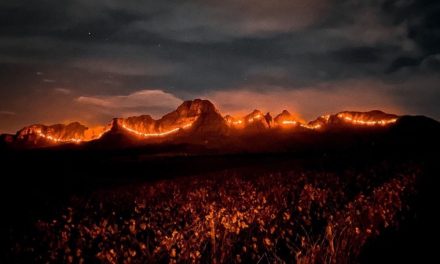 Brand am Helderberg