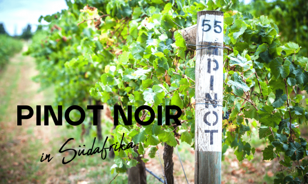 Pinot Noir Day
