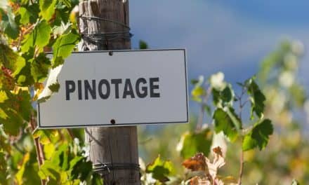 Alles über Pinotage