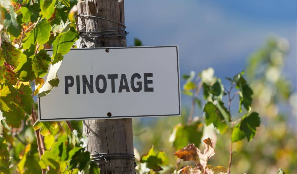 Alles über Pinotage