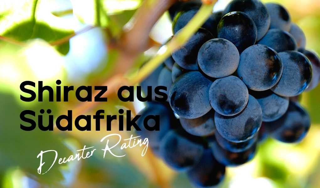 Südafrikanischer Shiraz