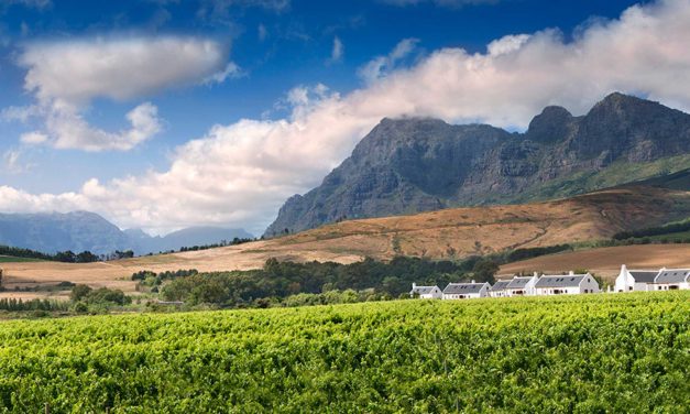 Fynbos Cottages – im traumhaften Babylonstoren