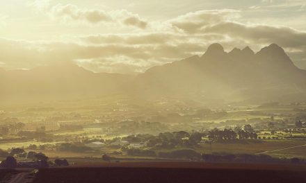 Scions of Sinai