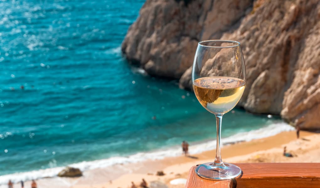 Sauvignon Blanc — Ein Sommer im Glas