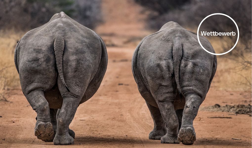 KapWeine X Friends of African Wildlife Wettbewerb