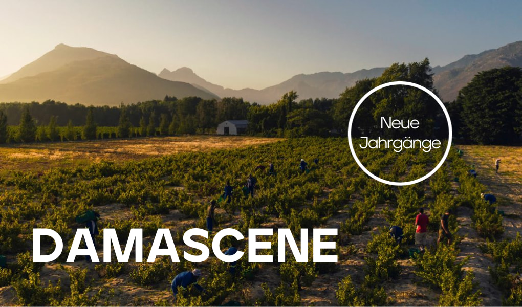 Damascene’s Suche nach Offenbarung