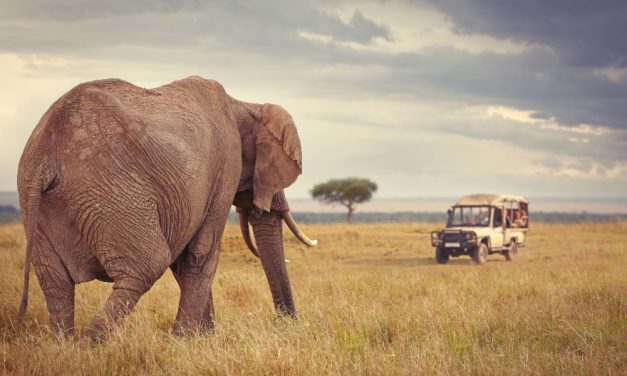 Südafrika Reisen hoch im kurs