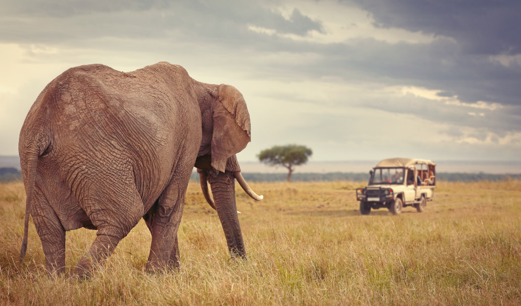 Südafrika Reisen hoch im kurs