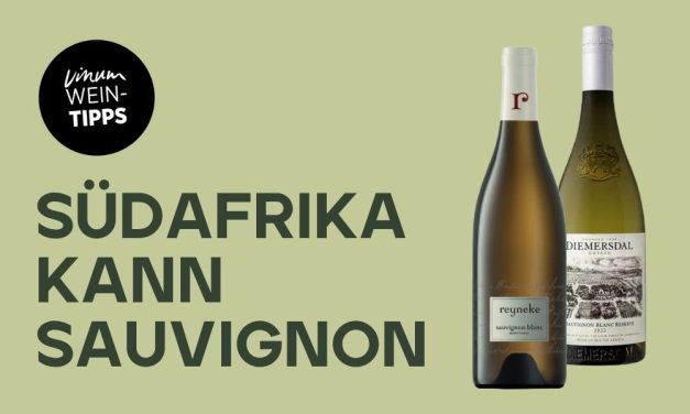 Top Sauvignon Blancs aus Südafrika