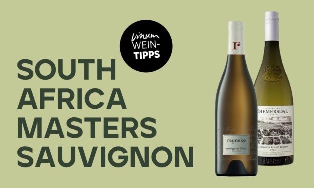 South Africa’s Top Sauvignon Blancs