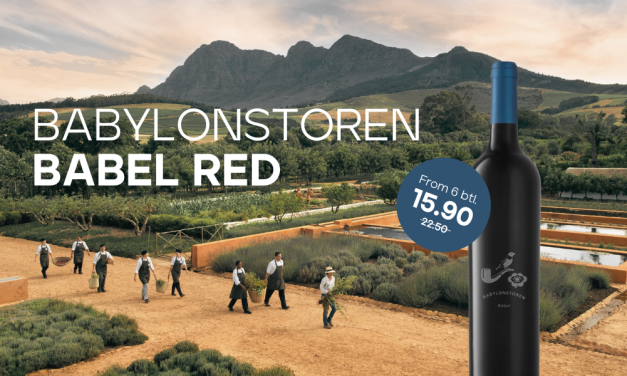 Babylonstoren – Where Wine, Garden, and History Merge