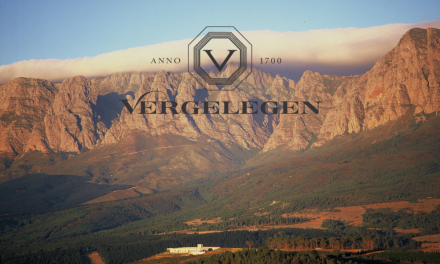 Vergelegen: Neue Labels, neue Weine und ein Weingut im Wandel